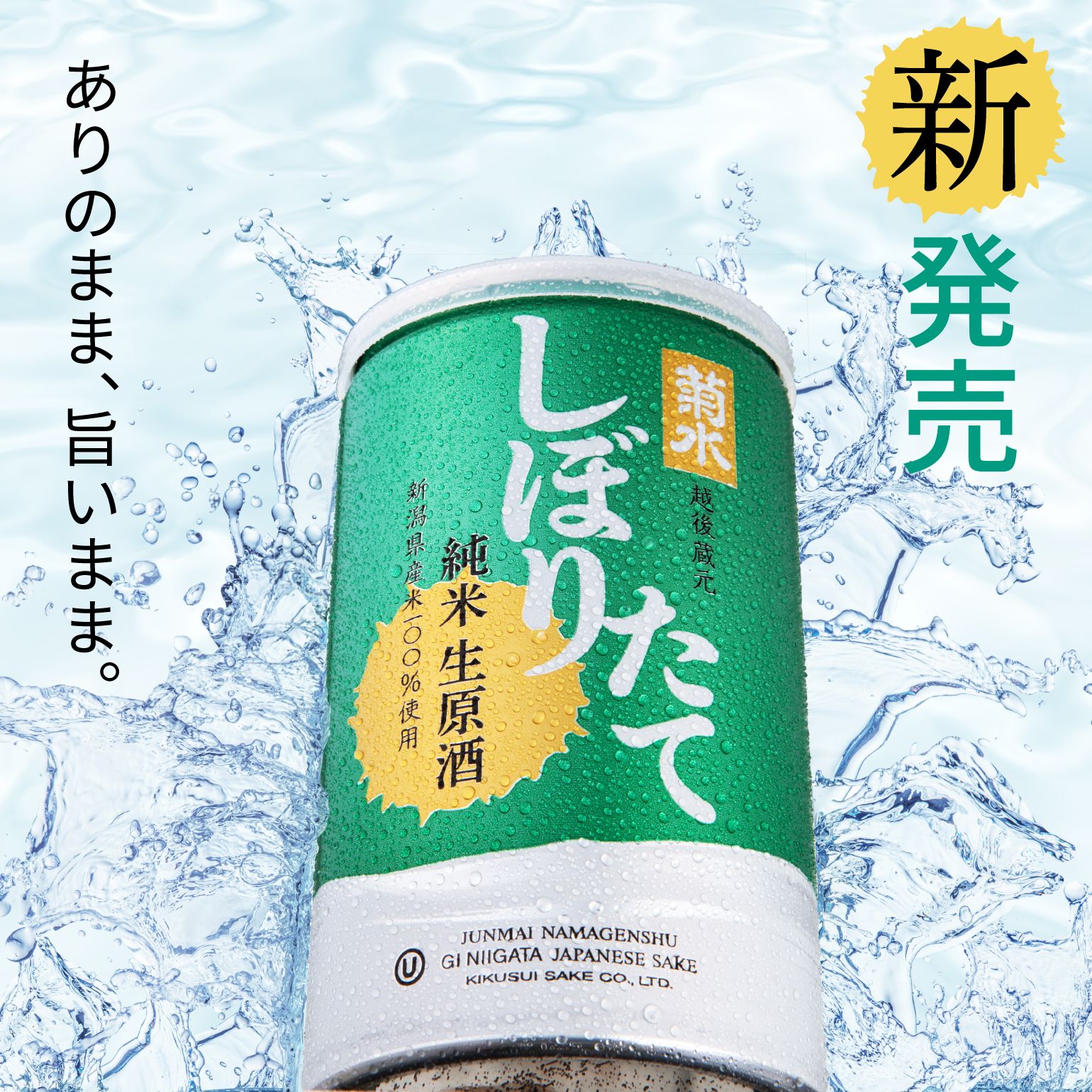 菊水しぼりたて純米生原酒